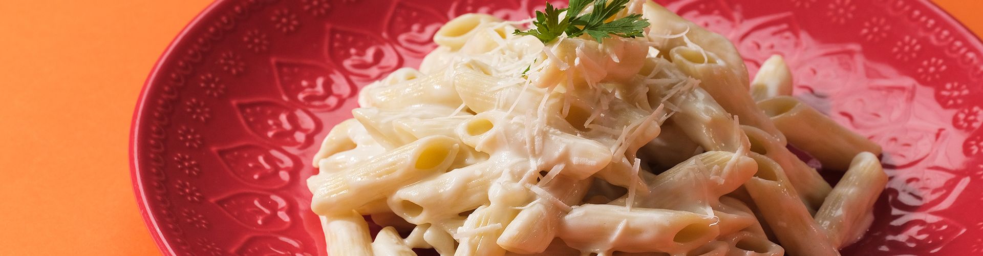 Macarrão com molho branco e queijo